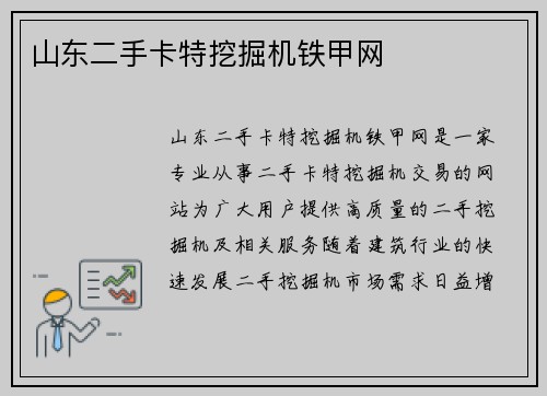 山东二手卡特挖掘机铁甲网