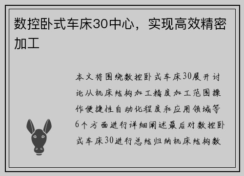 数控卧式车床30中心，实现高效精密加工